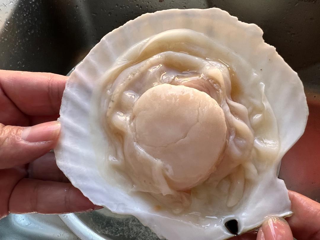 扇贝里窝那式