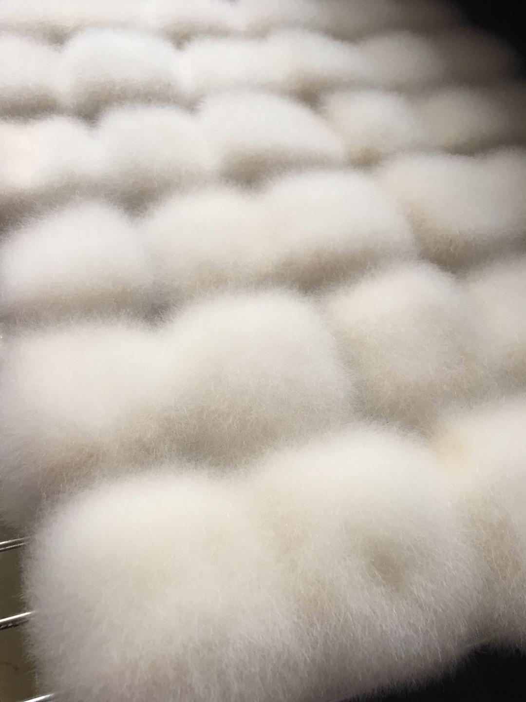 毛豆腐